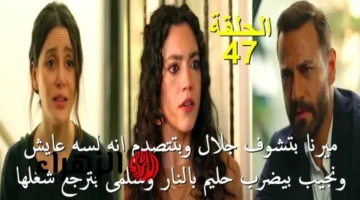 عرض مسلسل سلمى الحلقة 47 على قناة MBC1 يكشف تطورات علاقة هيفاء بوالد هيام